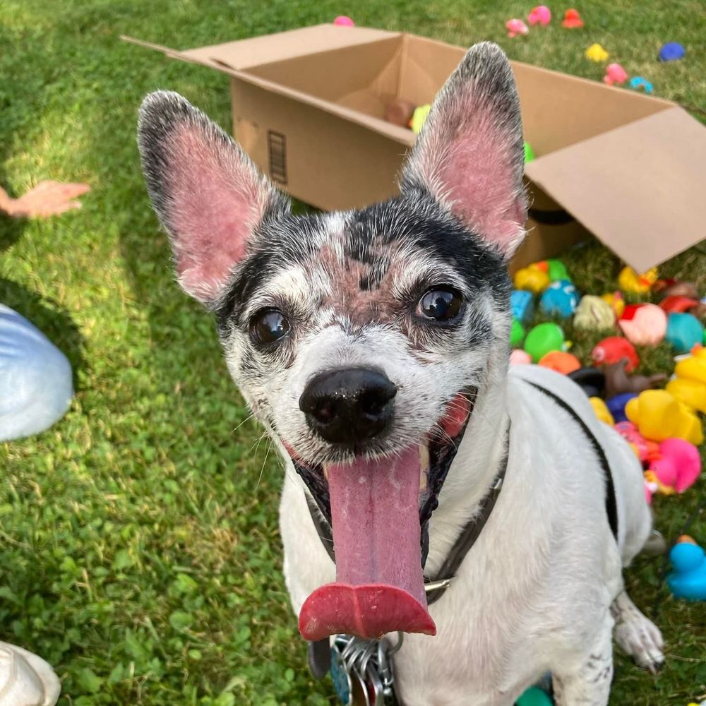 Meet your Posher, Carrie